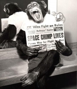 ham-astrochimp